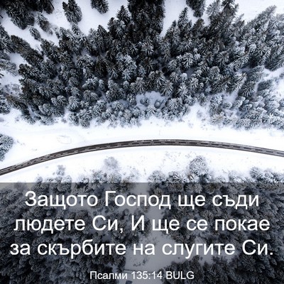 Picture 03 - Псалми 135:14 BULG - Защото Господ ще съди - Bible Verse Picture
