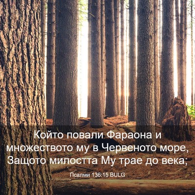 Picture 03 - Псалми 136:15 BULG - Който повали Фараона и - Bible Verse Picture