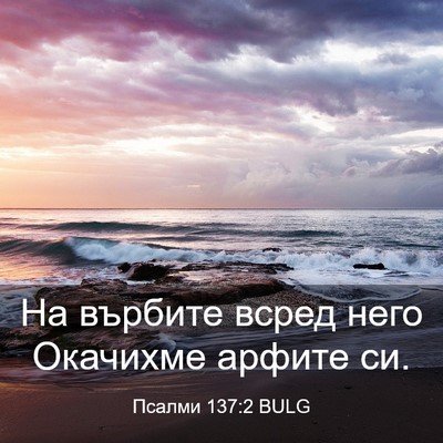 Picture 03 - Псалми 137:2 BULG - На върбите всред него - Bible Verse Picture