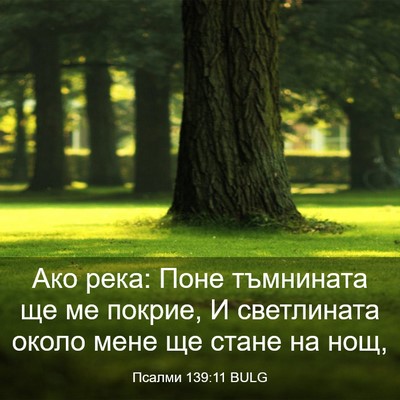 Picture 03 - Псалми 139:11 BULG - Ако река: Поне тъмнината ще - Bible Verse Picture