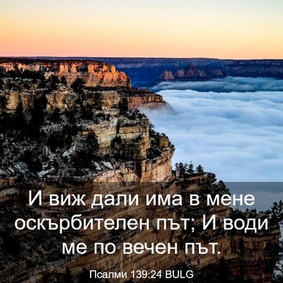 Picture 03 - Псалми 139:24 BULG - И виж дали има в мене - Bible Verse Picture