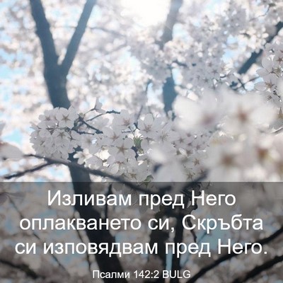 Picture 03 - Псалми 142:2 BULG - Изливам пред Него - Bible Verse Picture