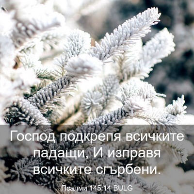 Picture 03 - Псалми 145:14 BULG - Господ подкрепя всичките - Bible Verse Picture