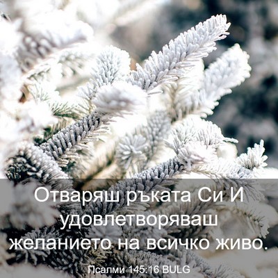 Picture 03 - Псалми 145:16 BULG - Отваряш ръката Си И - Bible Verse Picture