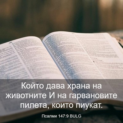 Picture 03 - Псалми 147:9 BULG - Който дава храна на - Bible Verse Picture