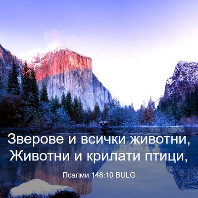 Picture 03 - Псалми 148:10 BULG - Зверове и всички животни, - Bible Verse Picture