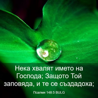 Picture 03 - Псалми 148:5 BULG - Нека хвалят името на - Bible Verse Picture