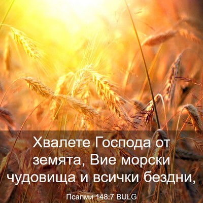 Picture 03 - Псалми 148:7 BULG - Хвалете Господа от земята, - Bible Verse Picture