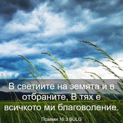 Picture 03 - Псалми 16:3 BULG - В светиите на земята и в - Bible Verse Picture