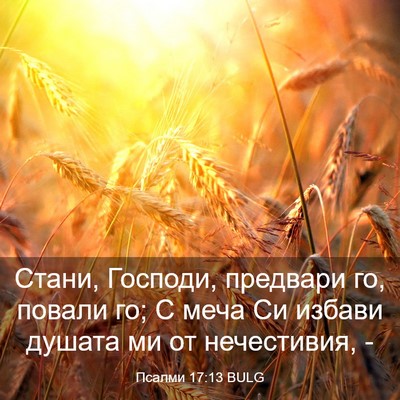 Picture 03 - Псалми 17:13 BULG - Стани, Господи, предвари - Bible Verse Picture