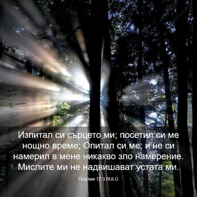 Picture 03 - Псалми 17:3 BULG - Изпитал си сърцето ми; - Bible Verse Picture