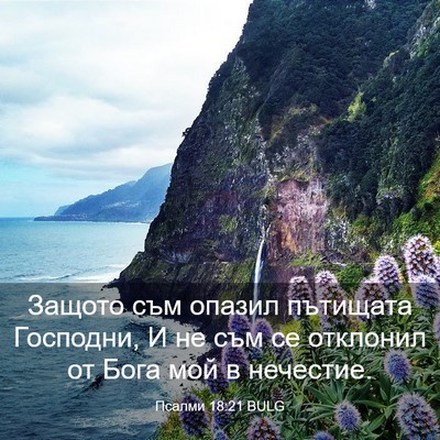 Picture 03 - Псалми 18:21 BULG - Защото съм опазил пътищата - Bible Verse Picture