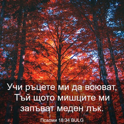 Picture 03 - Псалми 18:34 BULG - Учи ръцете ми да воюват, - Bible Verse Picture