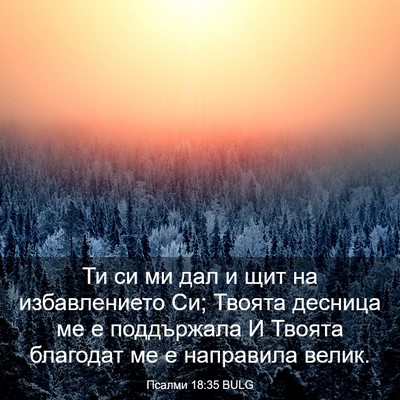 Picture 03 - Псалми 18:35 BULG - Ти си ми дал и щит на - Bible Verse Picture