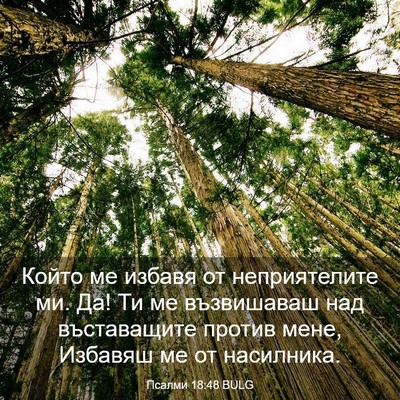 Picture 03 - Псалми 18:48 BULG - Който ме избавя от - Bible Verse Picture