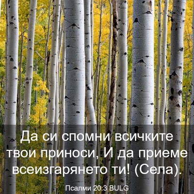 Picture 03 - Псалми 20:3 BULG - Да си спомни всичките твои - Bible Verse Picture