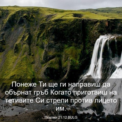 Picture 03 - Псалми 21:12 BULG - Понеже Ти ще ги направиш да - Bible Verse Picture
