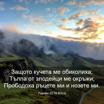 Picture 03 - Псалми 22:16 BULG - Защото кучета ме - Bible Verse Picture