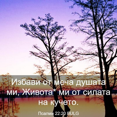 Picture 03 - Псалми 22:20 BULG - Избави от меча душата ми, - Bible Verse Picture