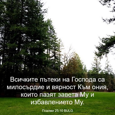 Picture 03 - Псалми 25:10 BULG - Всичките пътеки на Господа - Bible Verse Picture