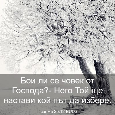 Picture 03 - Псалми 25:12 BULG - Бои ли се човек от Господа?- - Bible Verse Picture