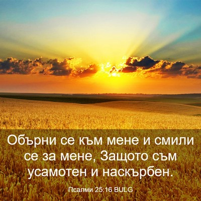 Picture 03 - Псалми 25:16 BULG - Обърни се към мене и смили - Bible Verse Picture
