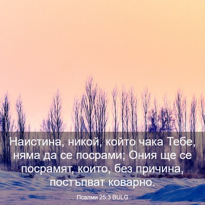 Picture 03 - Псалми 25:3 BULG - Наистина, никой, който чака - Bible Verse Picture