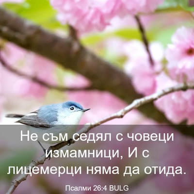 Picture 03 - Псалми 26:4 BULG - Не съм седял с човеци - Bible Verse Picture