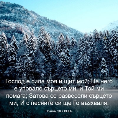 Picture 03 - Псалми 28:7 BULG - Господ е сила моя и щит мой; - Bible Verse Picture