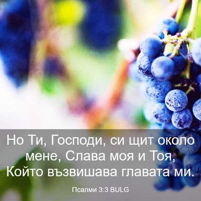 Picture 03 - Псалми 3:3 BULG - Но Ти, Господи, си щит около - Bible Verse Picture