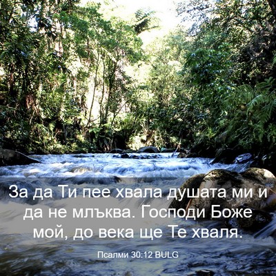 Picture 03 - Псалми 30:12 BULG - За да Ти пее хвала душата - Bible Verse Picture