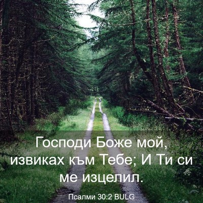 Picture 03 - Псалми 30:2 BULG - Господи Боже мой, извиках - Bible Verse Picture