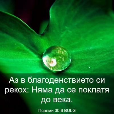 Picture 03 - Псалми 30:6 BULG - Аз в благоденствието си - Bible Verse Picture