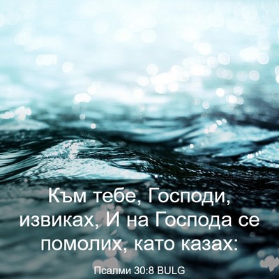 Picture 03 - Псалми 30:8 BULG - Към тебе, Господи, извиках, - Bible Verse Picture