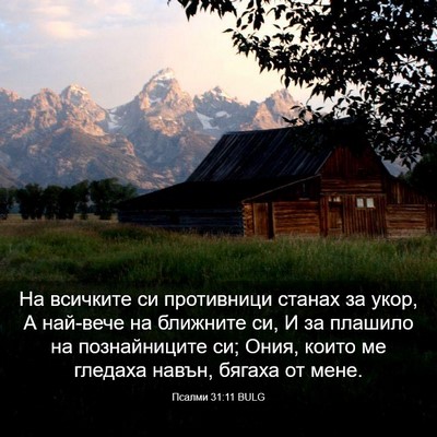 Picture 03 - Псалми 31:11 BULG - На всичките си противници - Bible Verse Picture