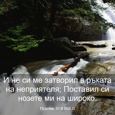 Picture 03 - Псалми 31:8 BULG - И не си ме затворил в - Bible Verse Picture
