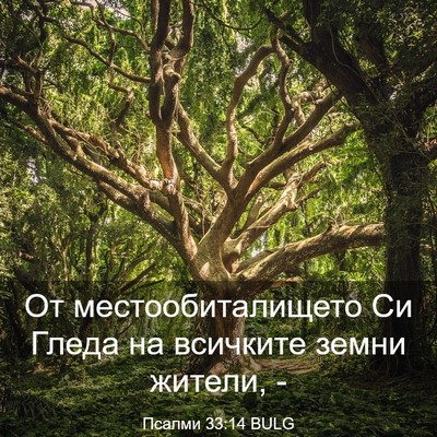 Picture 03 - Псалми 33:14 BULG - От местообиталището Си - Bible Verse Picture