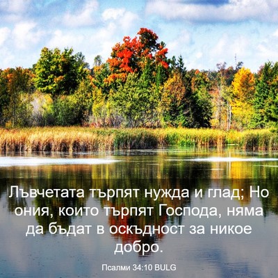 Picture 03 - Псалми 34:10 BULG - Лъвчетата търпят нужда и - Bible Verse Picture