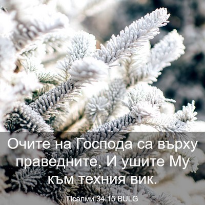Picture 03 - Псалми 34:15 BULG - Очите на Господа са върху - Bible Verse Picture