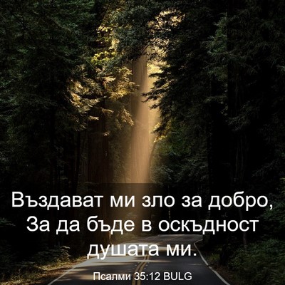 Picture 03 - Псалми 35:12 BULG - Въздават ми зло за добро, - Bible Verse Picture