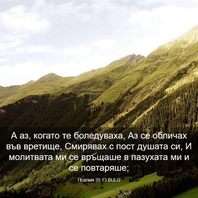 Picture 03 - Псалми 35:13 BULG - А аз, когато те боледуваха, - Bible Verse Picture