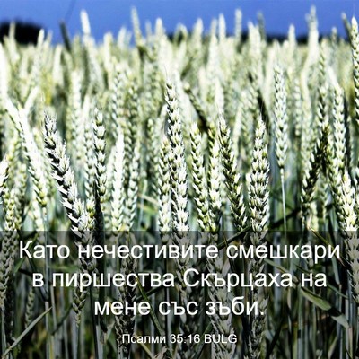 Picture 03 - Псалми 35:16 BULG - Като нечестивите смешкари - Bible Verse Picture