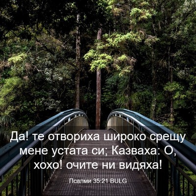 Picture 03 - Псалми 35:21 BULG - Да! те отвориха широко - Bible Verse Picture
