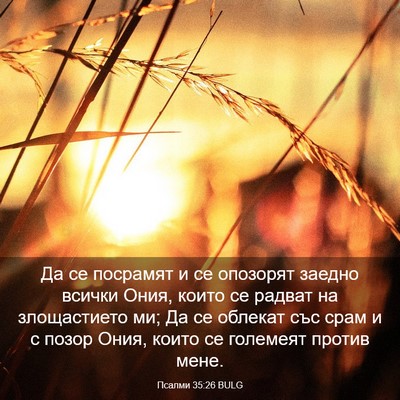 Picture 03 - Псалми 35:26 BULG - Да се посрамят и се - Bible Verse Picture