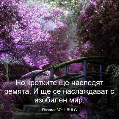 Picture 03 - Псалми 37:11 BULG - Но кротките ще наследят - Bible Verse Picture