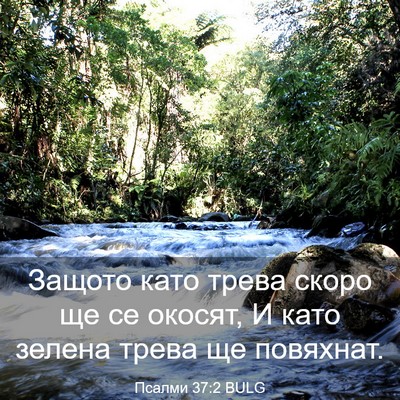 Picture 03 - Псалми 37:2 BULG - Защото като трева скоро ще - Bible Verse Picture