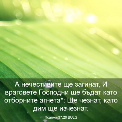 Picture 03 - Псалми 37:20 BULG - А нечестивите ще загинат, И - Bible Verse Picture