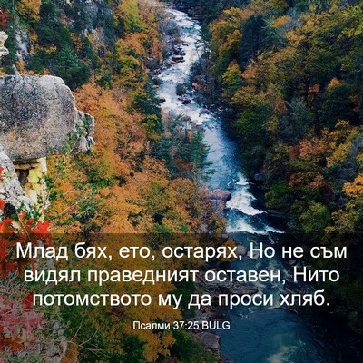 Picture 03 - Псалми 37:25 BULG - Млад бях, ето, остарях, Но - Bible Verse Picture
