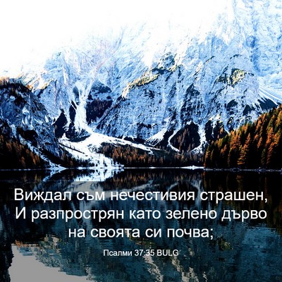 Picture 03 - Псалми 37:35 BULG - Виждал съм нечестивия - Bible Verse Picture