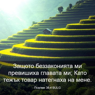 Picture 03 - Псалми 38:4 BULG - Защото беззаконията ми - Bible Verse Picture